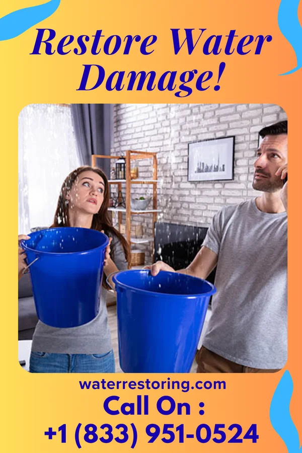 water restoration Premier Restoration Solutions Co Prairietown