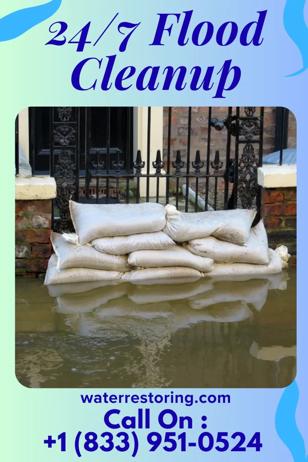 24/7 Flood Cleanup in Prairietown, IL