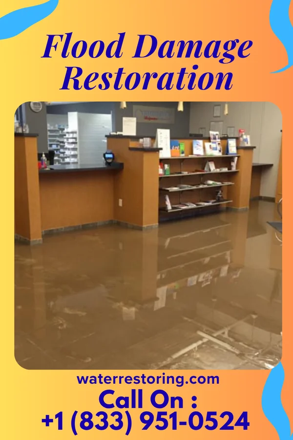 Flood Damage Restoration in Prairietown, IL